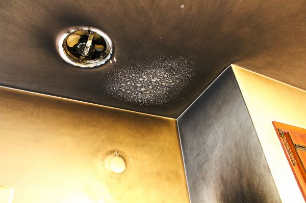 Cost of Smoke Damage Remediation in Sun City Center